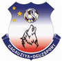 team-logo