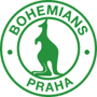 team-logo