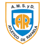 team-logo