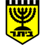 team-logo