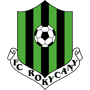 team-logo
