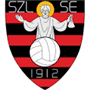 team-logo