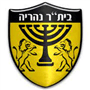 team-logo