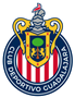 homeLogo