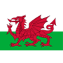 Wales U20