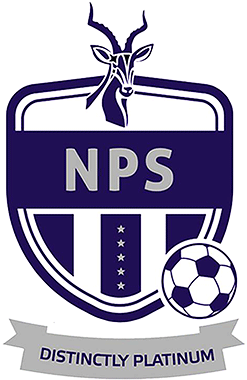 Ngezi Platinum FC